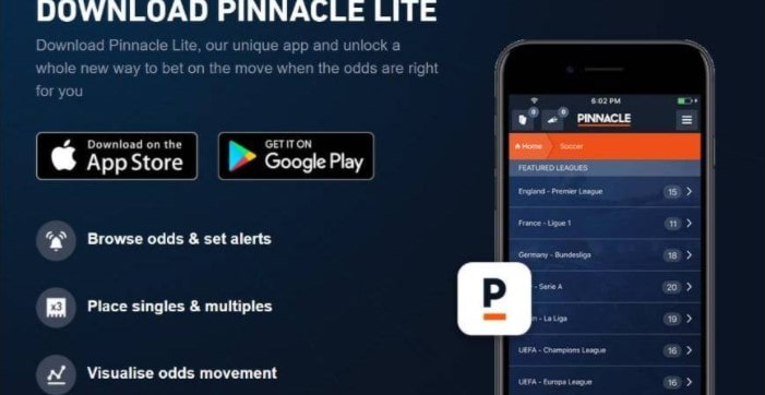 Приложение Pinnacle Lite